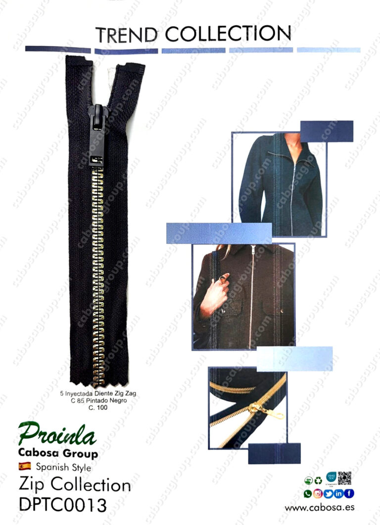 DPTC0013